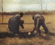 Vincent Van Gogh Peasant and Peasant Woman Planting Potatoes (nn04) oil